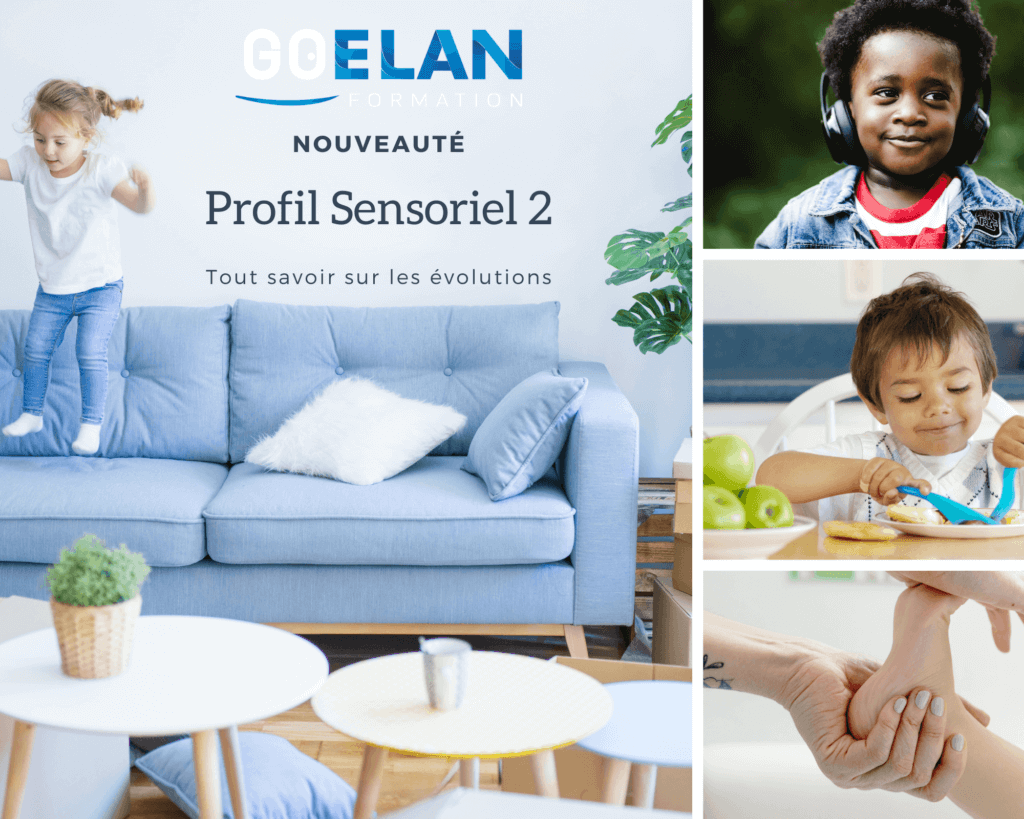 Formation Profil Sensoriel 2